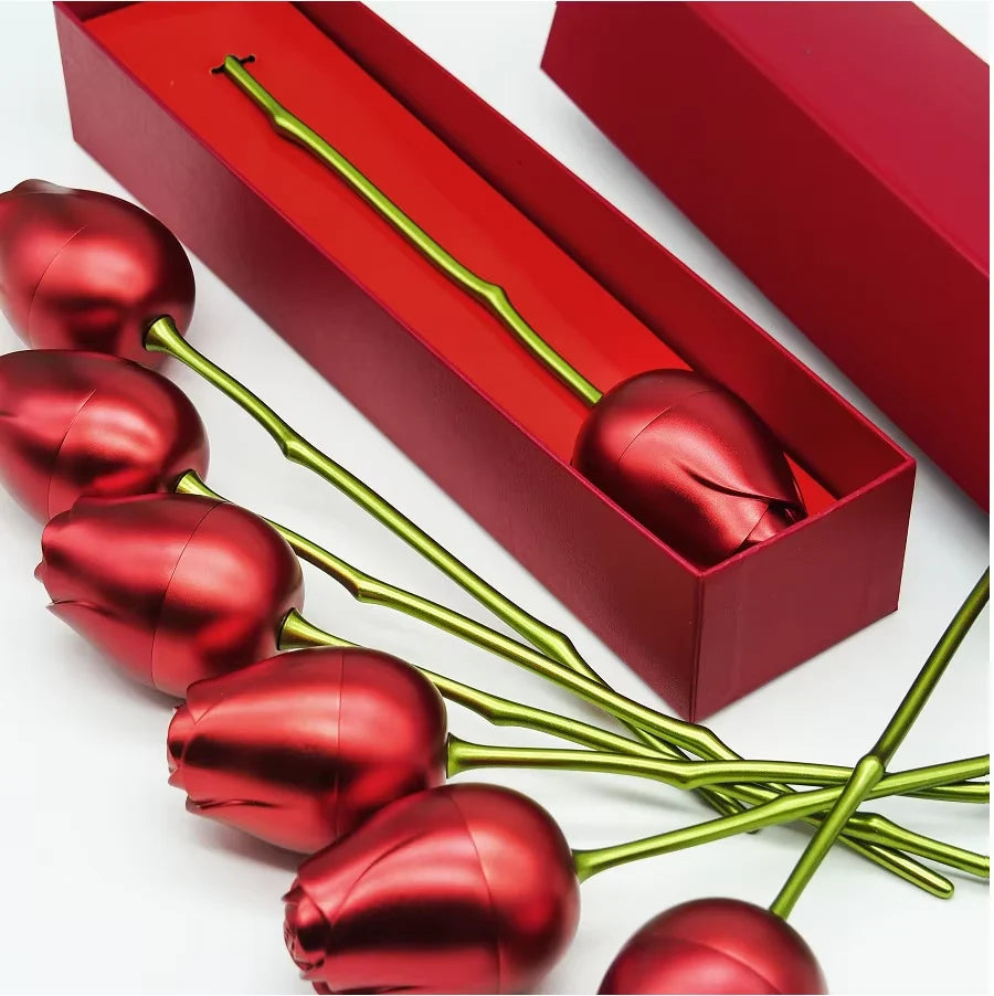 Hidden Love Rose Stem 925 Sterling Silver Necklace Gift Set | Express Your Love Through Actions