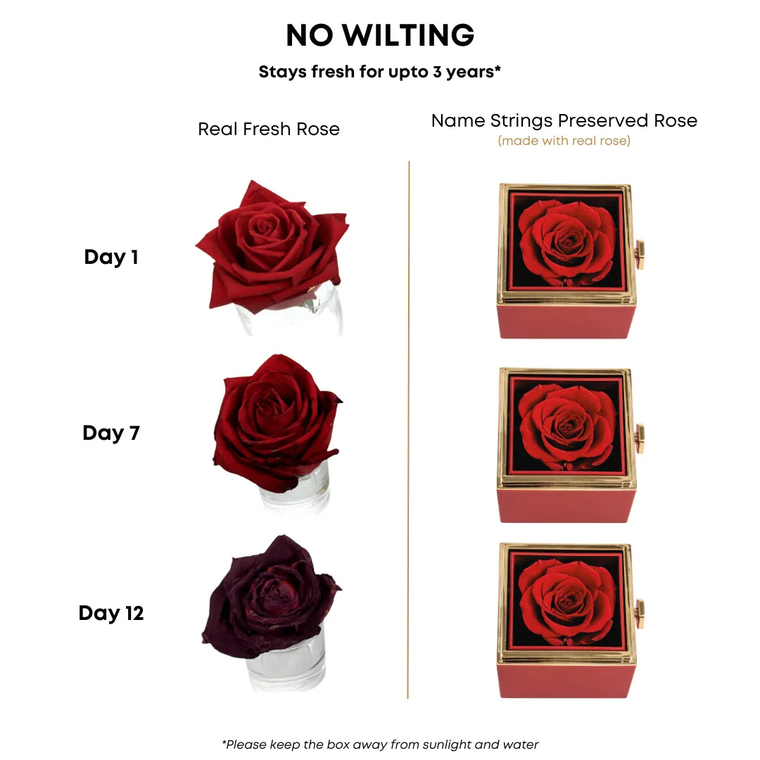 Forever Rose Box & Premium Personalized Necklace ❤️  Original Preserved Rose