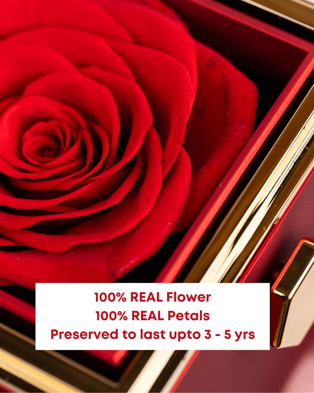 Forever Rose Box & Premium Personalized Necklace ❤️  Original Preserved Rose